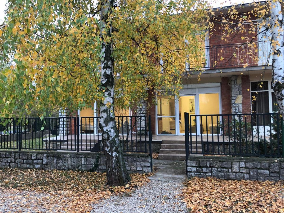 Apartment Fecske Family Jakuzzi House_65m Lake-5 Bedroom Zamardi