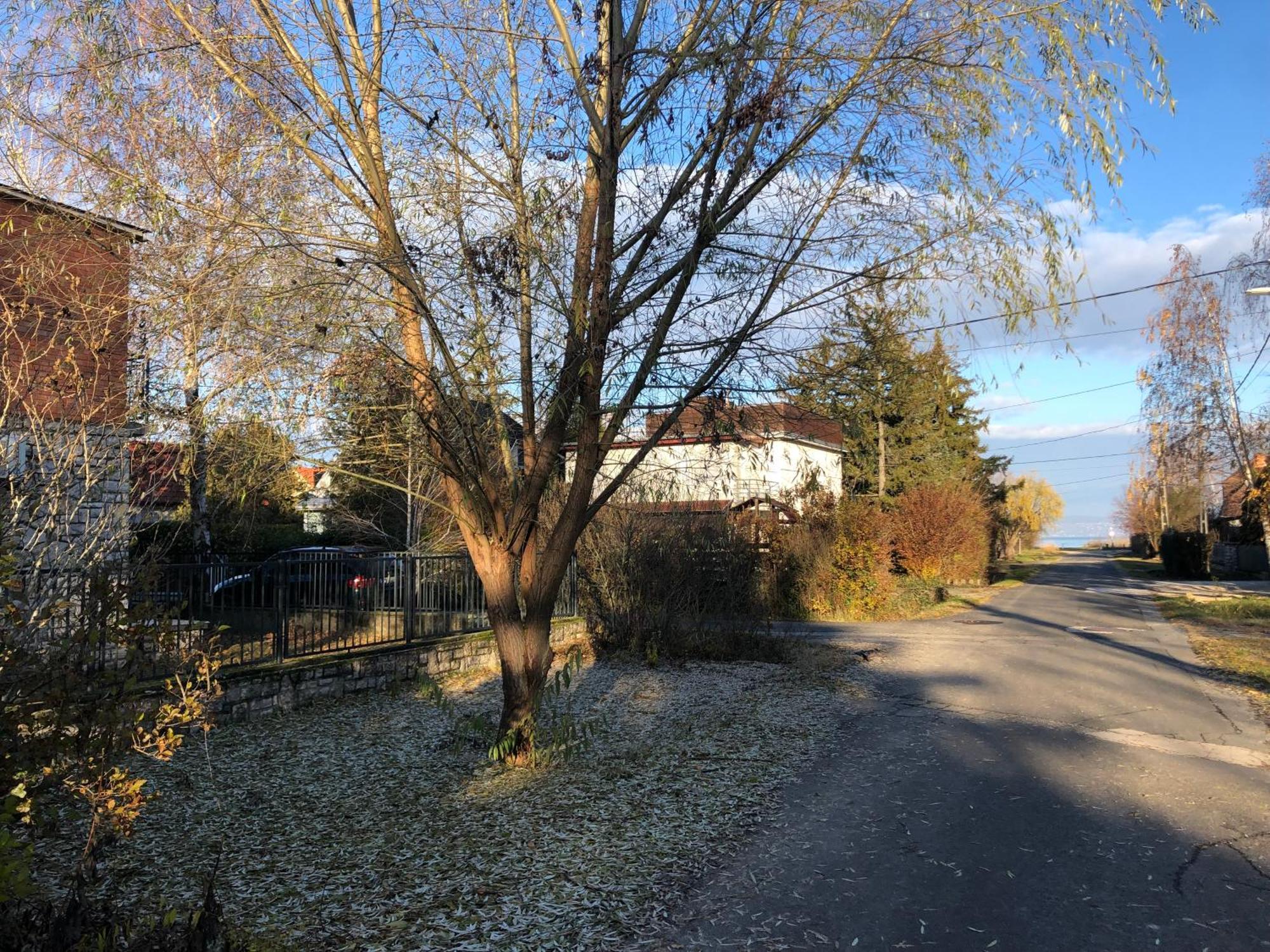 Fecske Family Jakuzzi House_65m Lake-5 Bedroom * Zamardi
